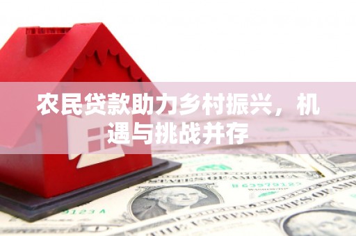 福海农民贷款助力乡村振兴，机遇与挑战并存