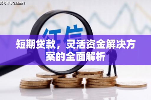 福海短期贷款，灵活资金解决方案的全面解析