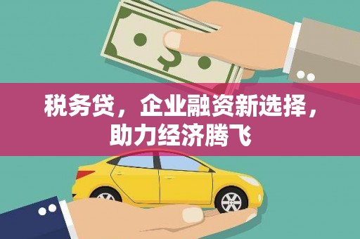 福海税务贷，企业融资新选择，助力经济腾飞