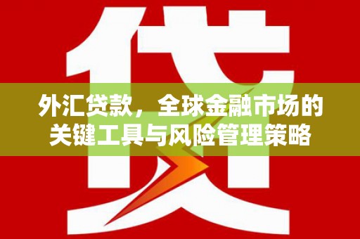 福海外汇贷款，全球金融市场的关键工具与风险管理策略