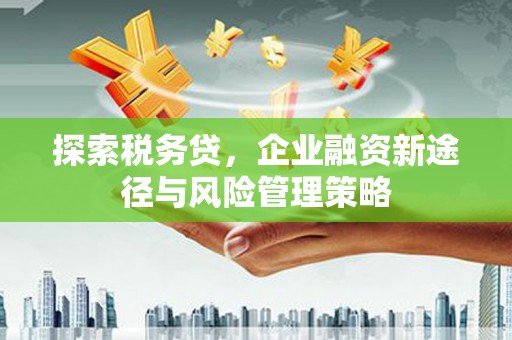 福海探索税务贷，企业融资新途径与风险管理策略