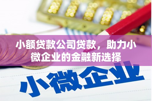 福海小额贷款公司贷款，助力小微企业的金融新选择