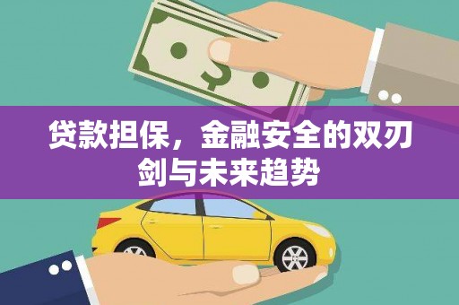 福海贷款担保，金融安全的双刃剑与未来趋势