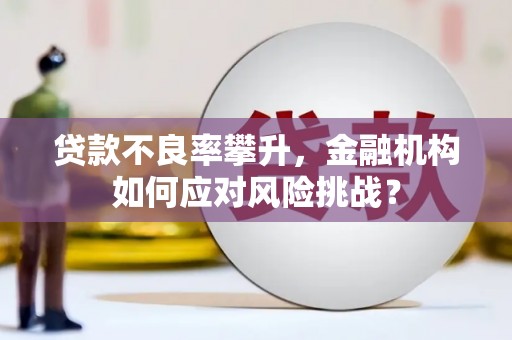 福海贷款不良率攀升，金融机构如何应对风险挑战？
