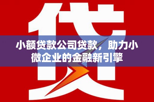福海小额贷款公司贷款，助力小微企业的金融新引擎