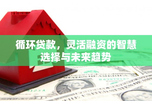 福海循环贷款，灵活融资的智慧选择与未来趋势