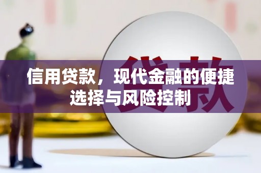 福海信用贷款，现代金融的便捷选择与风险控制