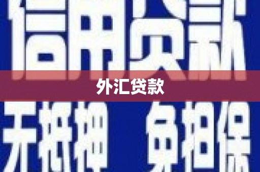 福海外汇贷款