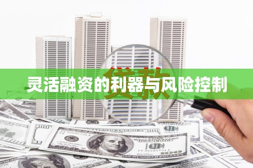 福海灵活融资的利器与风险控制