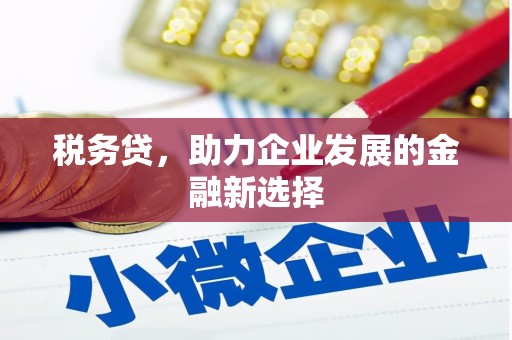 福海税务贷，助力企业发展的金融新选择