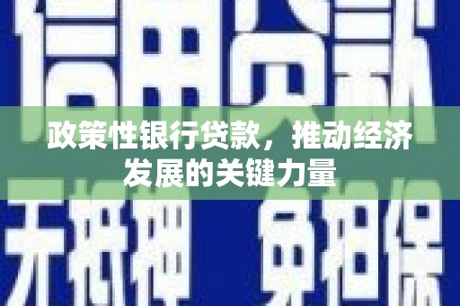 福海政策性银行贷款，推动经济发展的关键力量