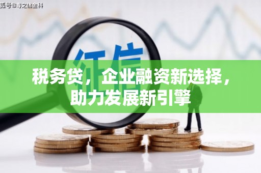 福海税务贷，企业融资新选择，助力发展新引擎