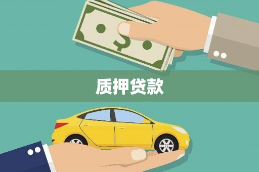 福海质押贷款