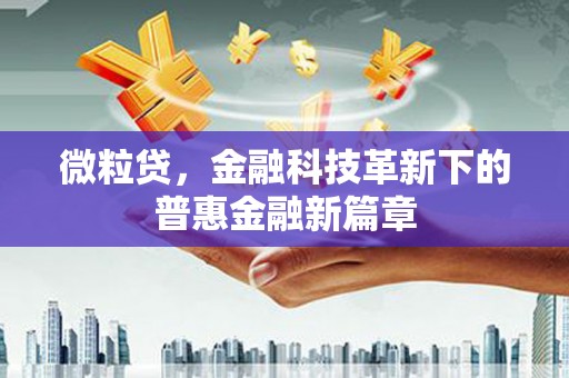 福海微粒贷，金融科技革新下的普惠金融新篇章