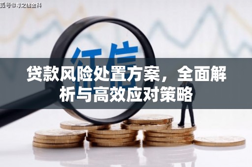 福海贷款风险处置方案，全面解析与高效应对策略