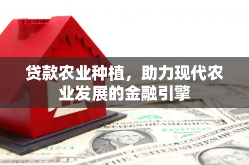 福海贷款农业种植，助力现代农业发展的金融引擎