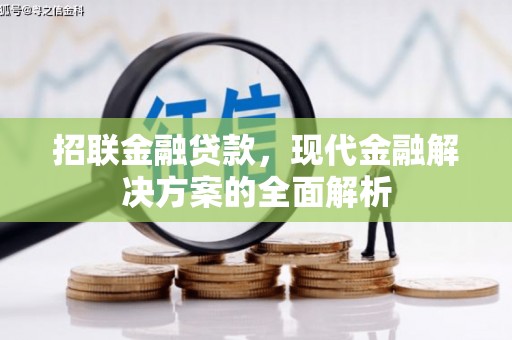福海招联金融贷款，现代金融解决方案的全面解析