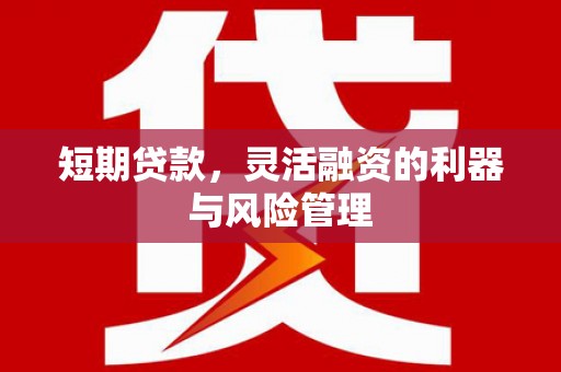 福海短期贷款，灵活融资的利器与风险管理