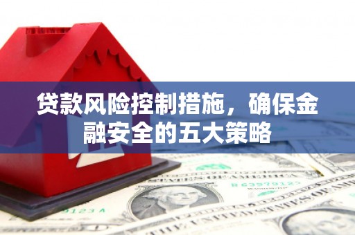 福海贷款风险控制措施，确保金融安全的五大策略