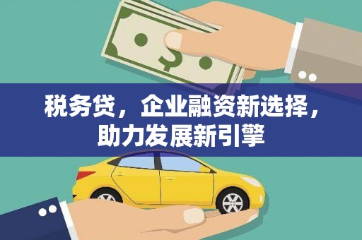 福海税务贷，企业融资新选择，助力发展新引擎