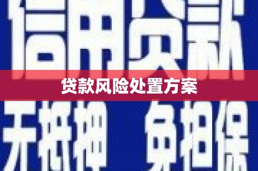 福海贷款风险处置方案
