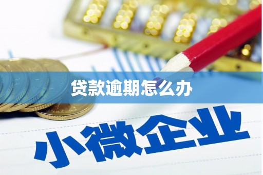 福海贷款逾期怎么办
