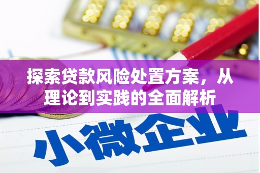 福海探索贷款风险处置方案，从理论到实践的全面解析