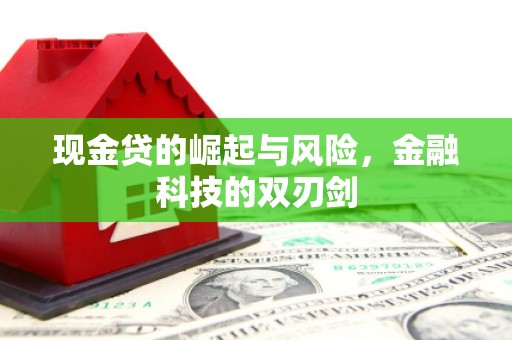 福海现金贷的崛起与风险，金融科技的双刃剑