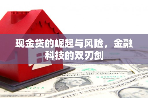 福海现金贷的崛起与风险，金融科技的双刃剑