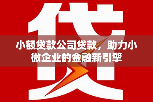 福海小额贷款公司贷款，助力小微企业的金融新引擎