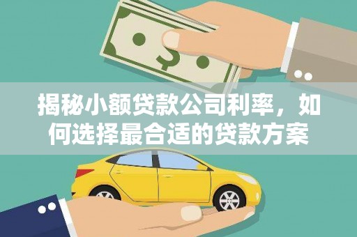 福海揭秘小额贷款公司利率，如何选择最合适的贷款方案