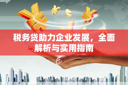 福海税务贷助力企业发展，全面解析与实用指南