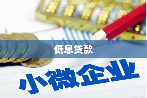 福海低息贷款