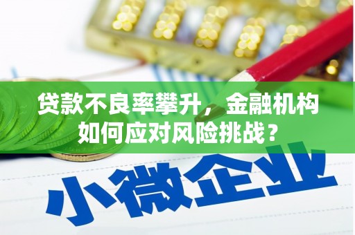 福海贷款不良率攀升，金融机构如何应对风险挑战？