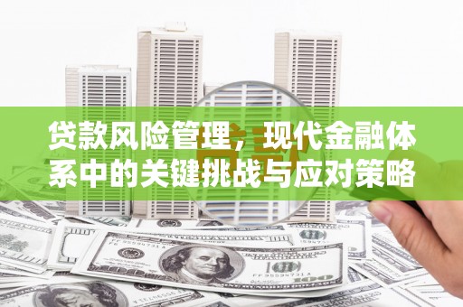 福海贷款风险管理，现代金融体系中的关键挑战与应对策略