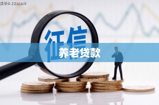 福海养老贷款