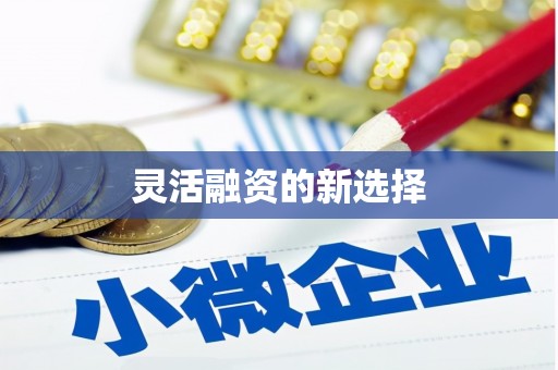 福海灵活融资的新选择