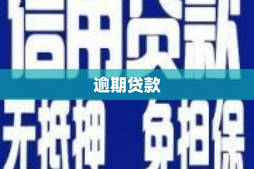 福海逾期贷款