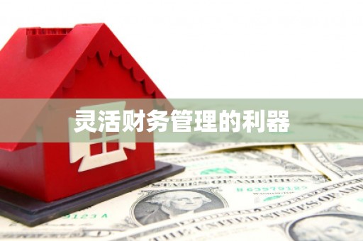 福海灵活财务管理的利器