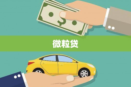 福海微粒贷