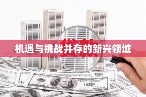 福海机遇与挑战并存的新兴领域