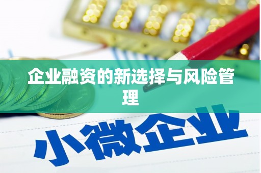 福海企业融资的新选择与风险管理