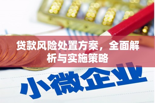 福海贷款风险处置方案，全面解析与实施策略