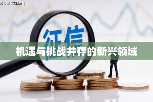 福海机遇与挑战并存的新兴领域