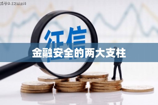 福海金融安全的两大支柱