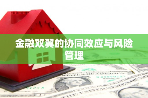 福海金融双翼的协同效应与风险管理