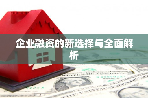 福海企业融资的新选择与全面解析