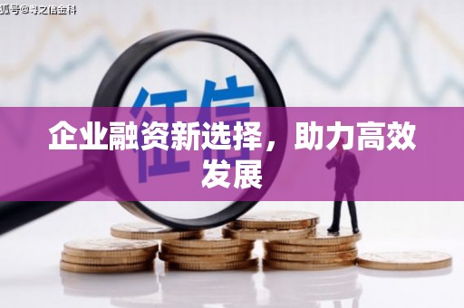福海企业融资新选择，助力高效发展