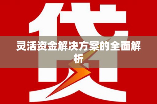 福海灵活资金解决方案的全面解析