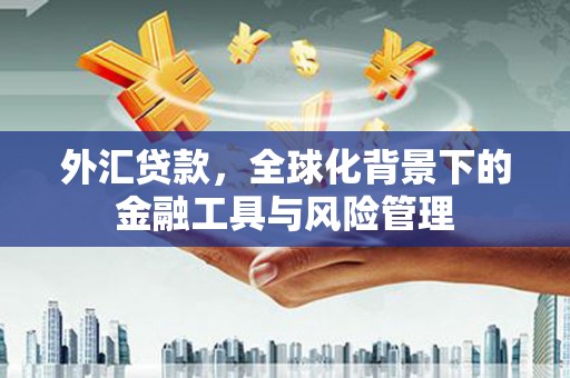 福海外汇贷款，全球化背景下的金融工具与风险管理